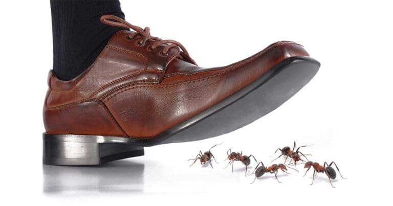 Are ANTs Blocking Your Shop’s Success? Think Positive!